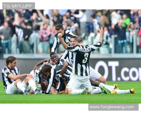 尤文图斯对阵维罗纳精彩赛事在线直播全程回顾与分析