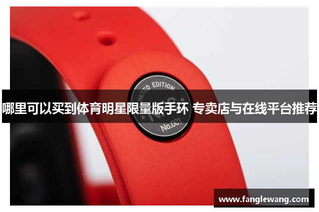 哪里可以买到体育明星限量版手环 专卖店与在线平台推荐
