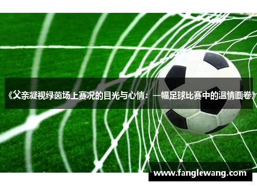 《父亲凝视绿茵场上赛况的目光与心情：一幅足球比赛中的温情画卷》