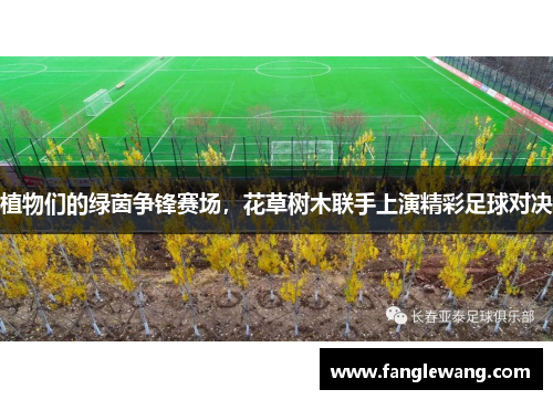 植物们的绿茵争锋赛场，花草树木联手上演精彩足球对决